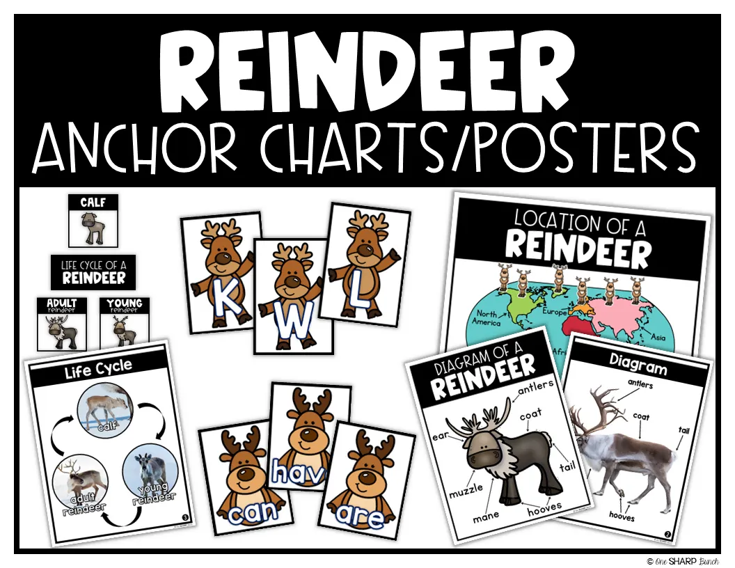 All About Reindeer Craft, Reindeer Math & Literacy, Christmas Craft & Activities | Printable Classroom Resource | One Sharp Bunch