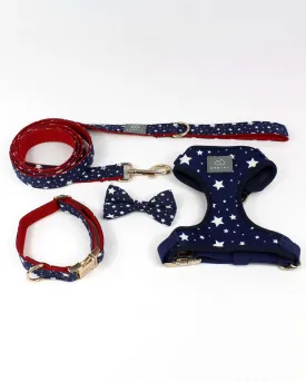 American Dream Dog Walk Set
