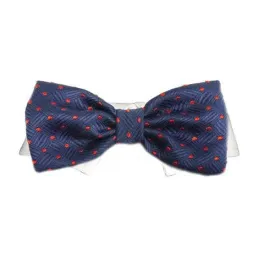 Andrew Dog Bow Tie Collar