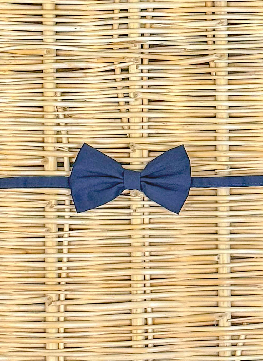 Bow Tie