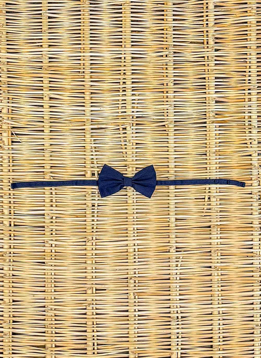 Bow Tie