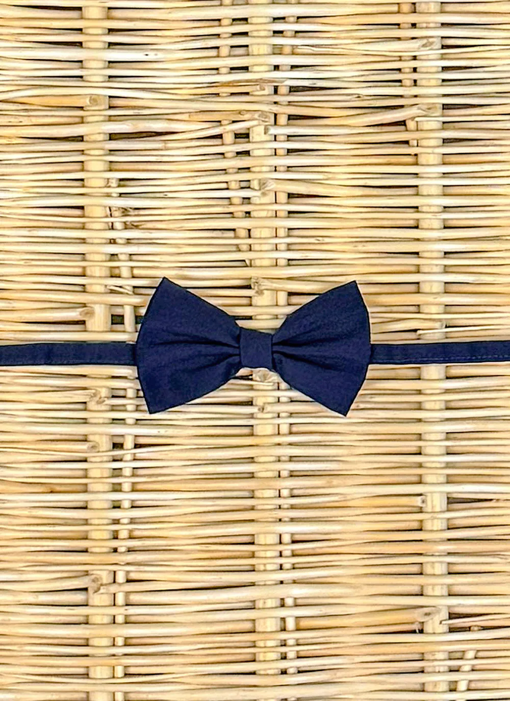 Bow Tie