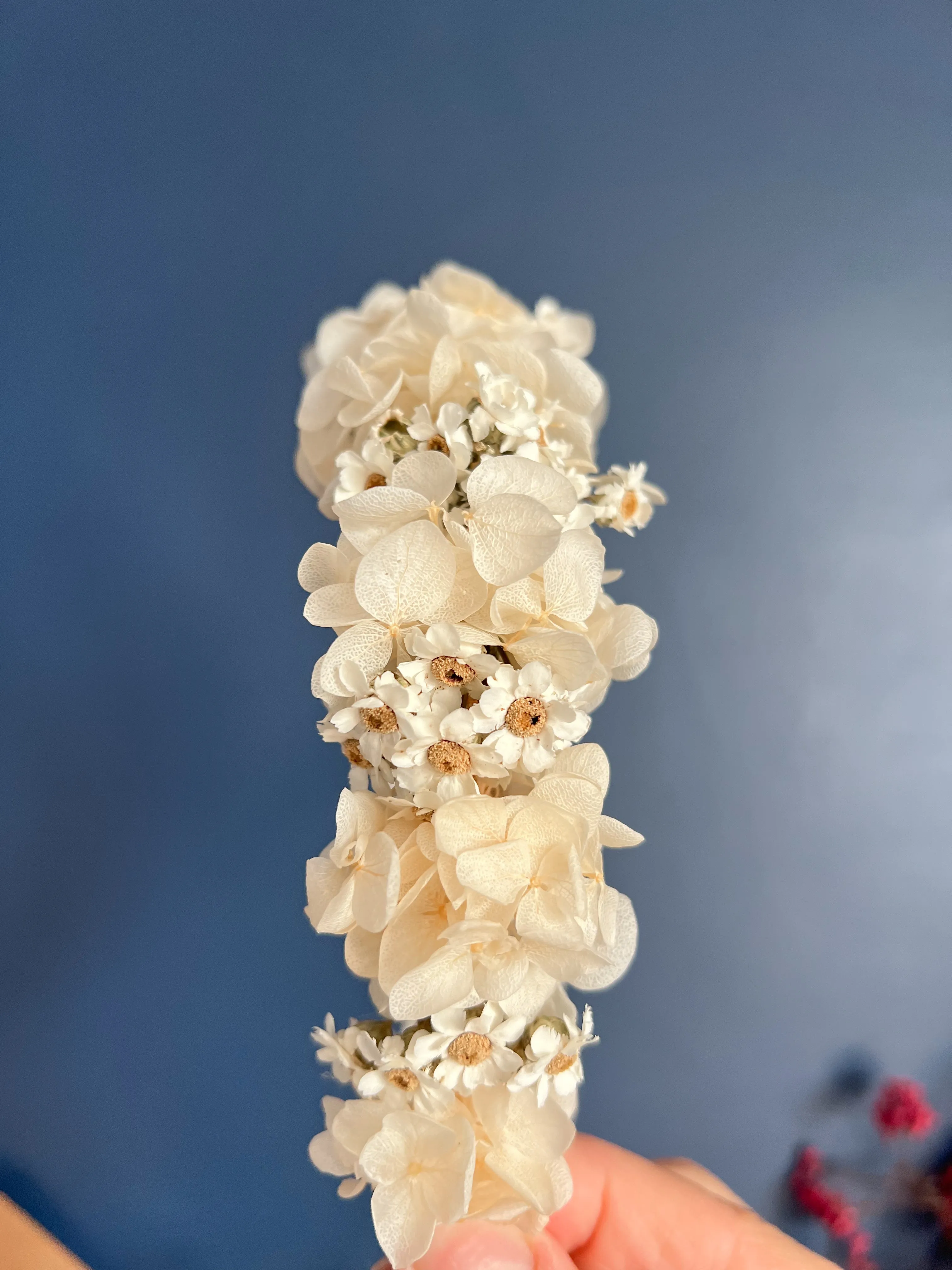 Daisy Headband, Hydrangea and Daisy Floral Tiara, Dried Mini Daisy Flower Crown, Dried Flower Crown, Ivory Daisy Floral Headpiece