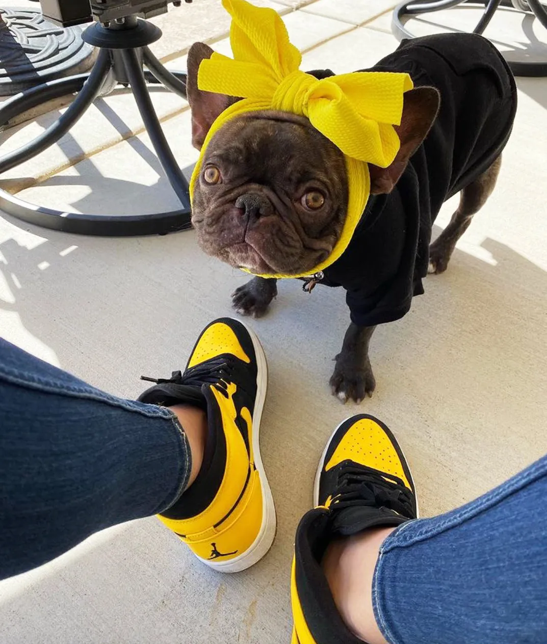 Frenchiestore Pet Head Bow | Yellow