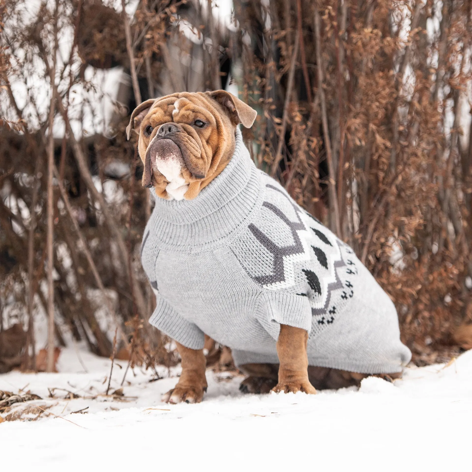 Heritage Pet Sweater (Grey Mix)