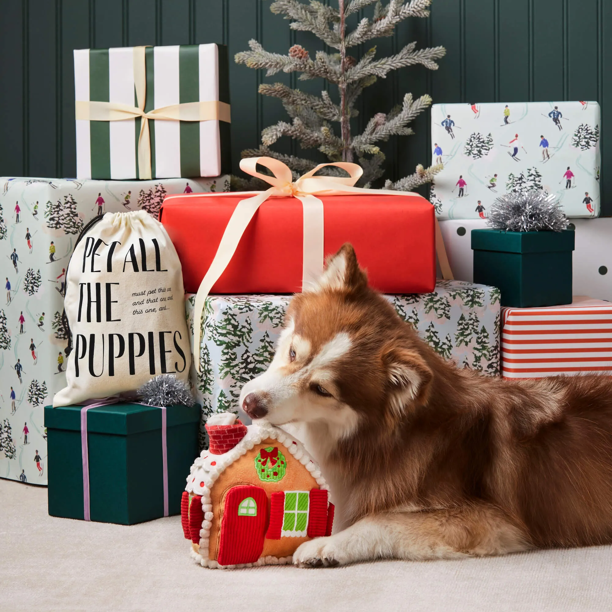 Holiday Interactive Toy Set
