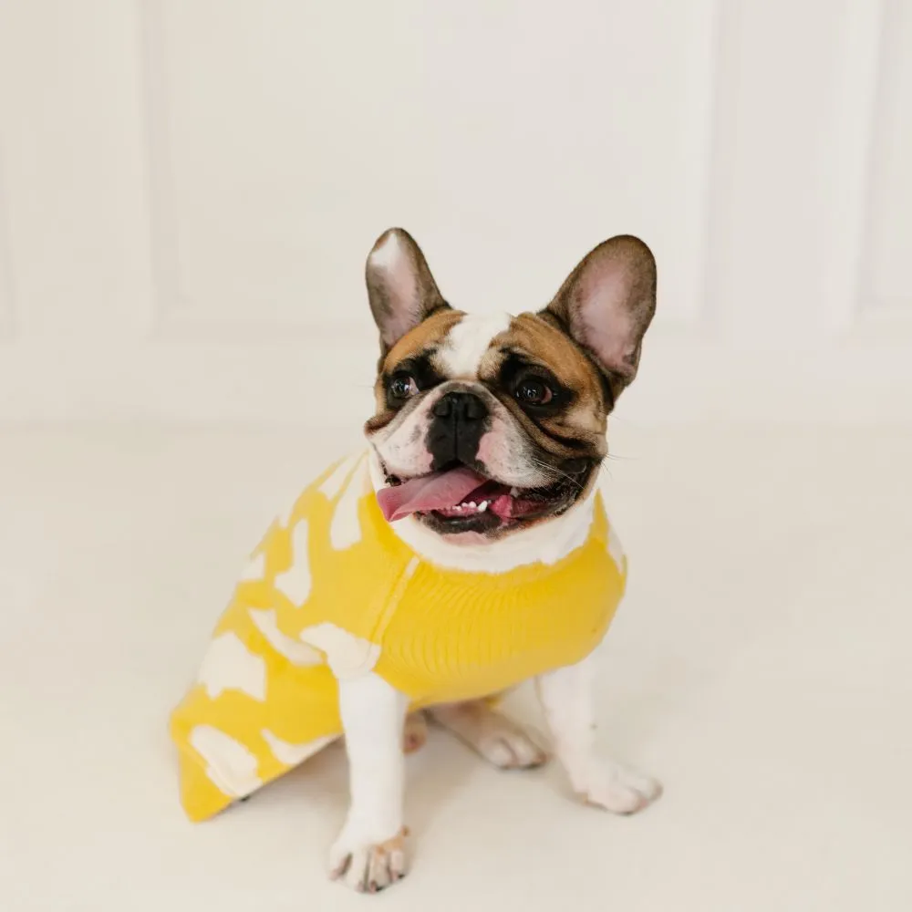 Joey’s Sweater
