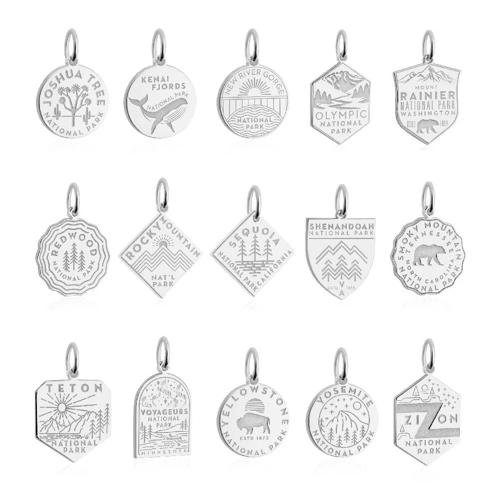 Joshua Tree National Park Charm, Silver