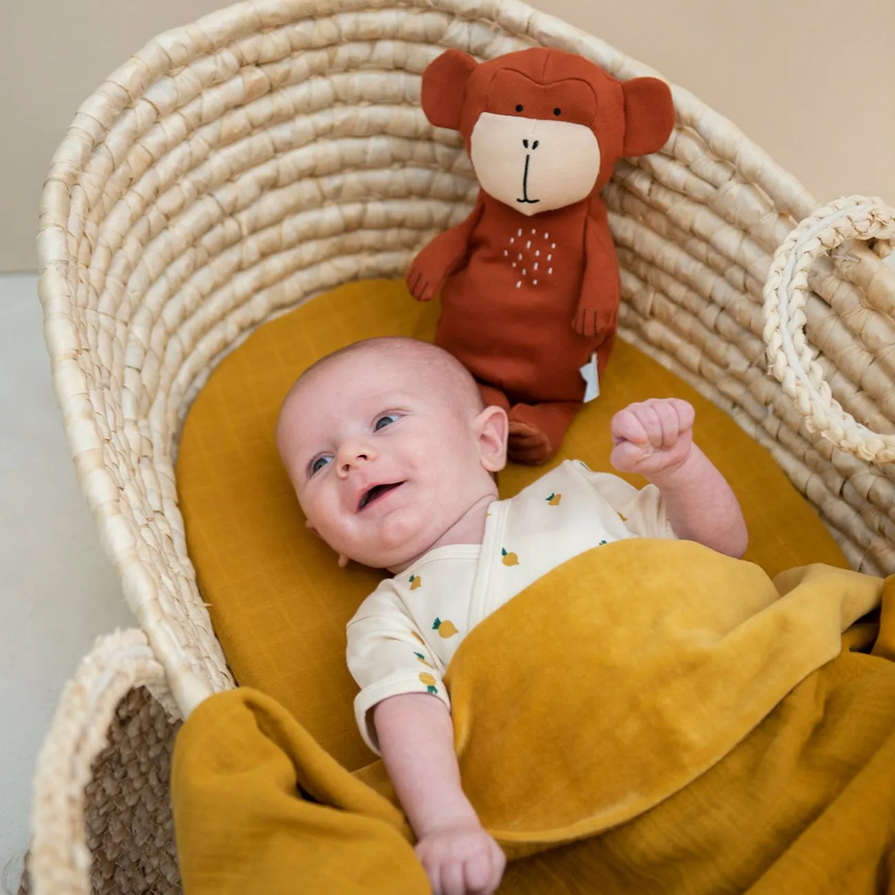 Large Plush Toy - Mr. Monkey