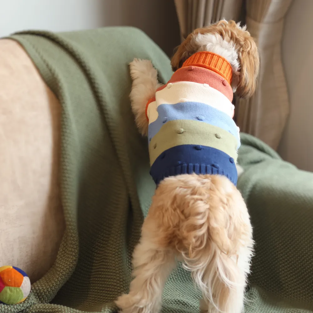 Multi-Coloured Sweater