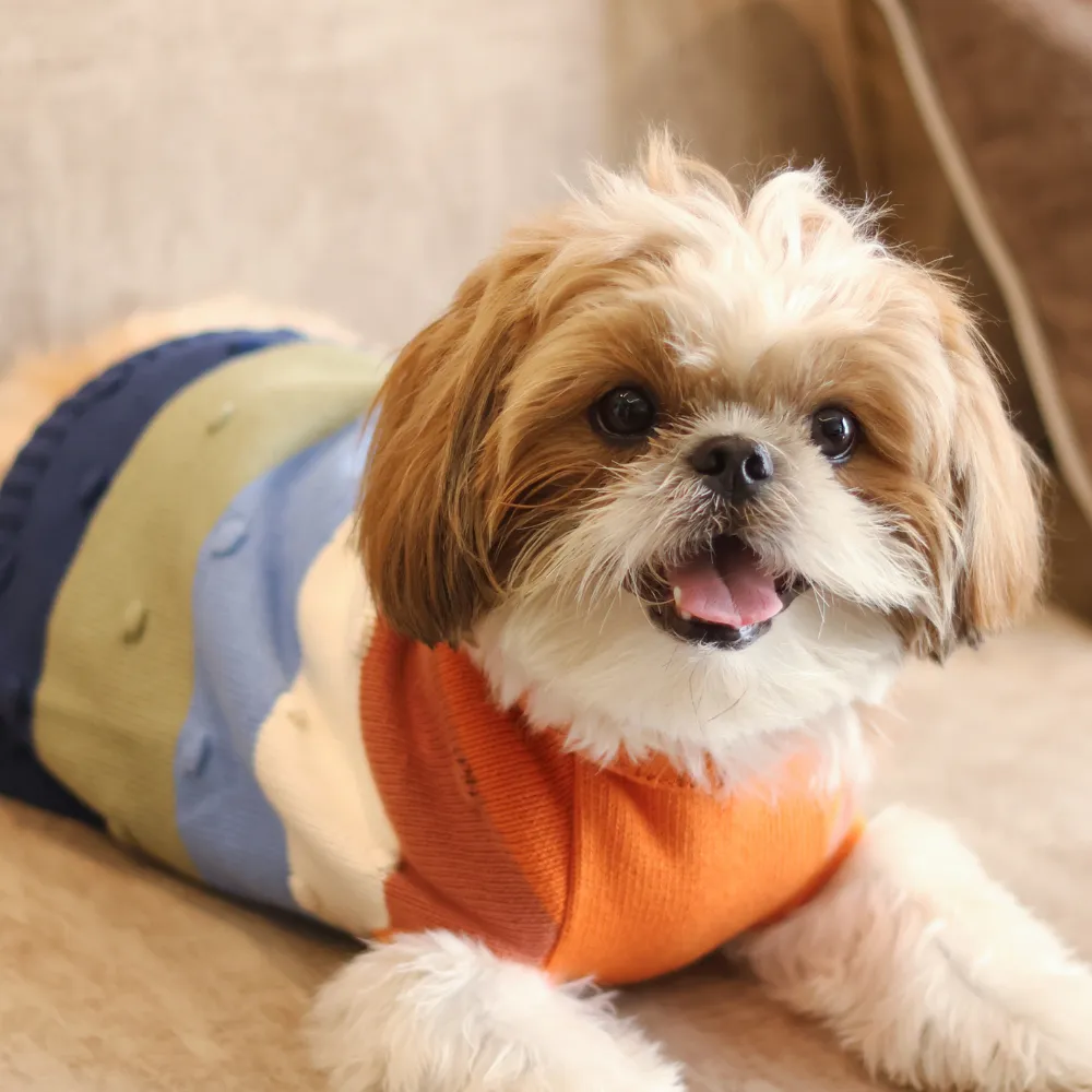 Multi-Coloured Sweater