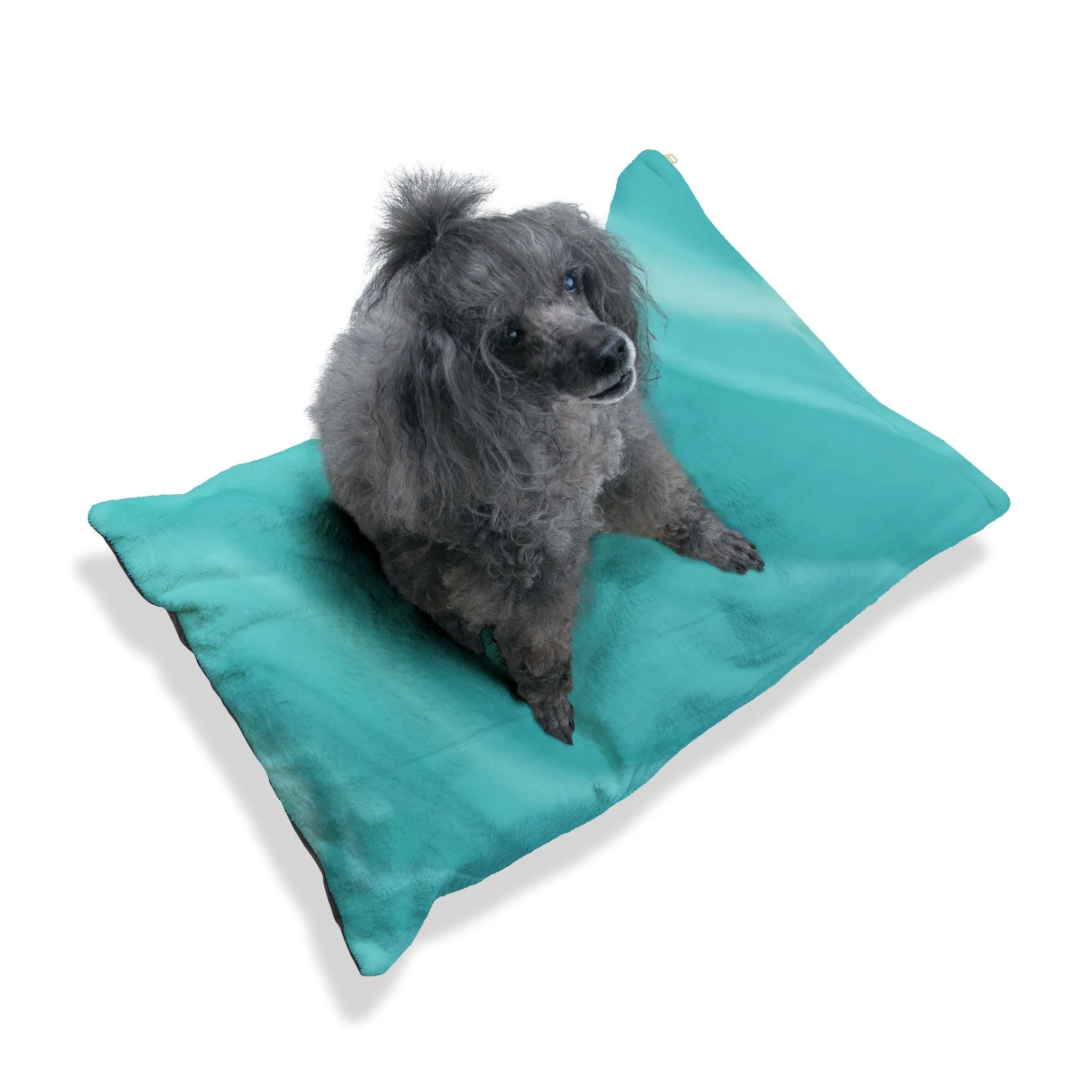 Pet Bed- Aqua