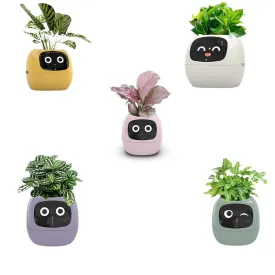 Pet Planter,USB Rechargeable Indoor Small Flower Pot For Indoor Decoration Make Raising Plant Easy And Fun