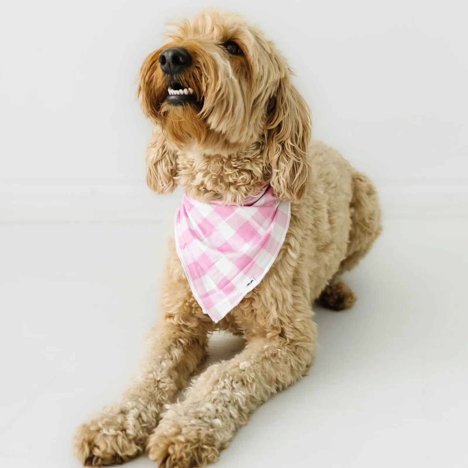 Pink Gingham Pet Bandana