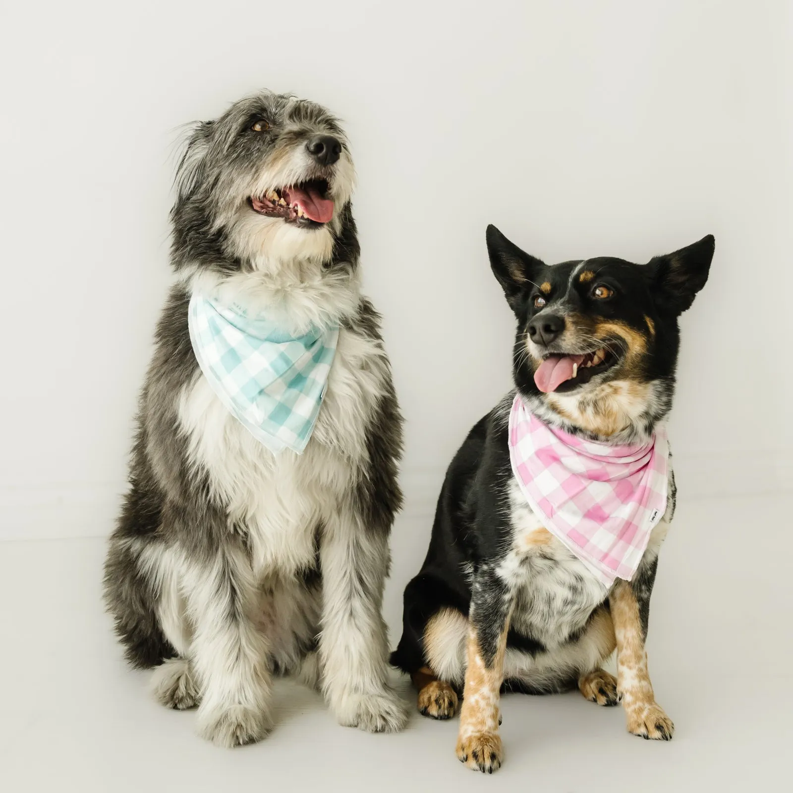 Pink Gingham Pet Bandana