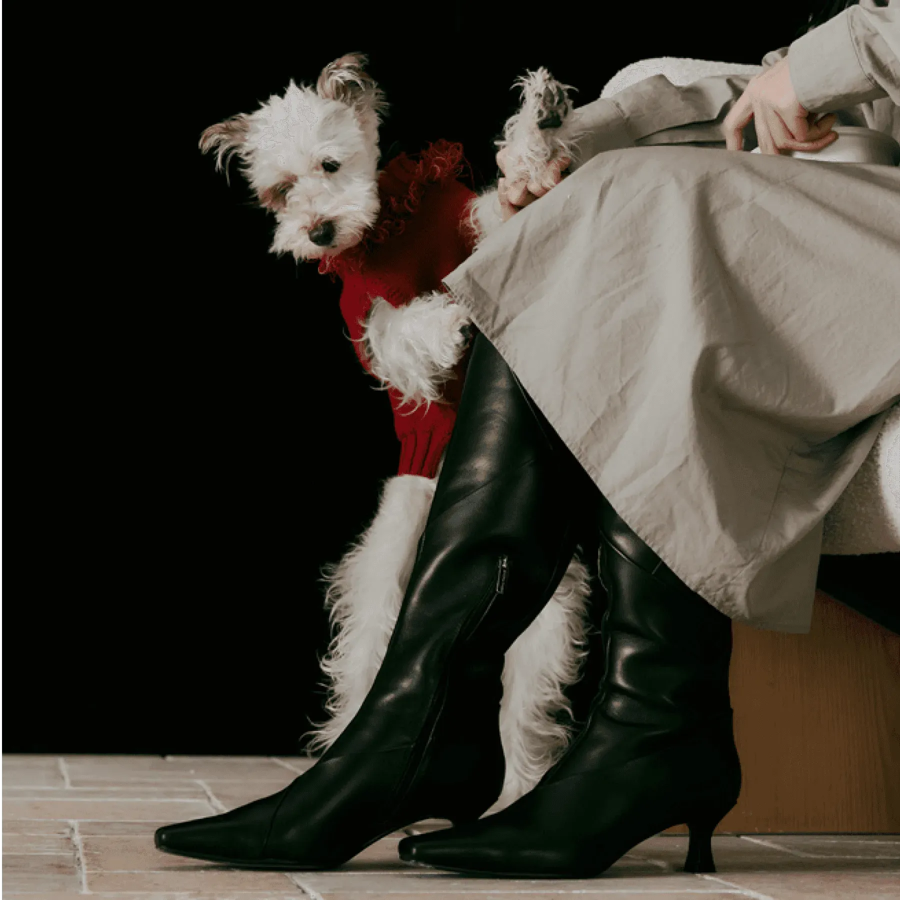 Reflective Dog Sweater