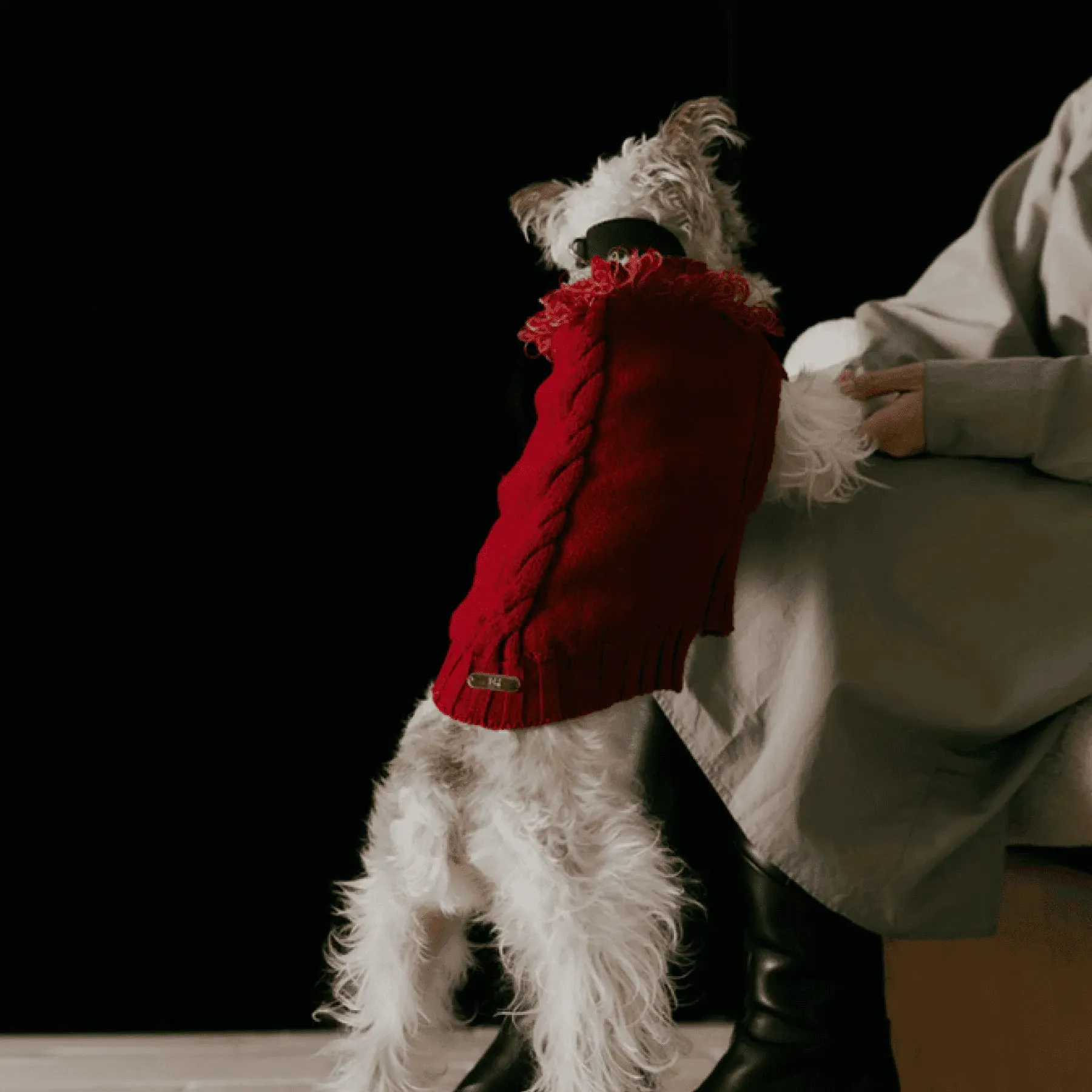 Reflective Dog Sweater