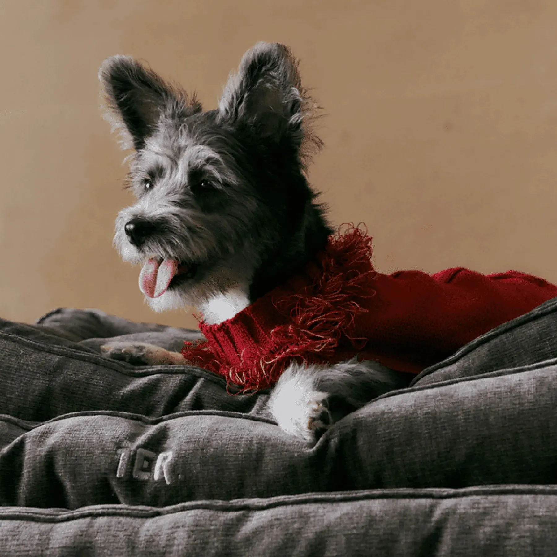 Reflective Dog Sweater