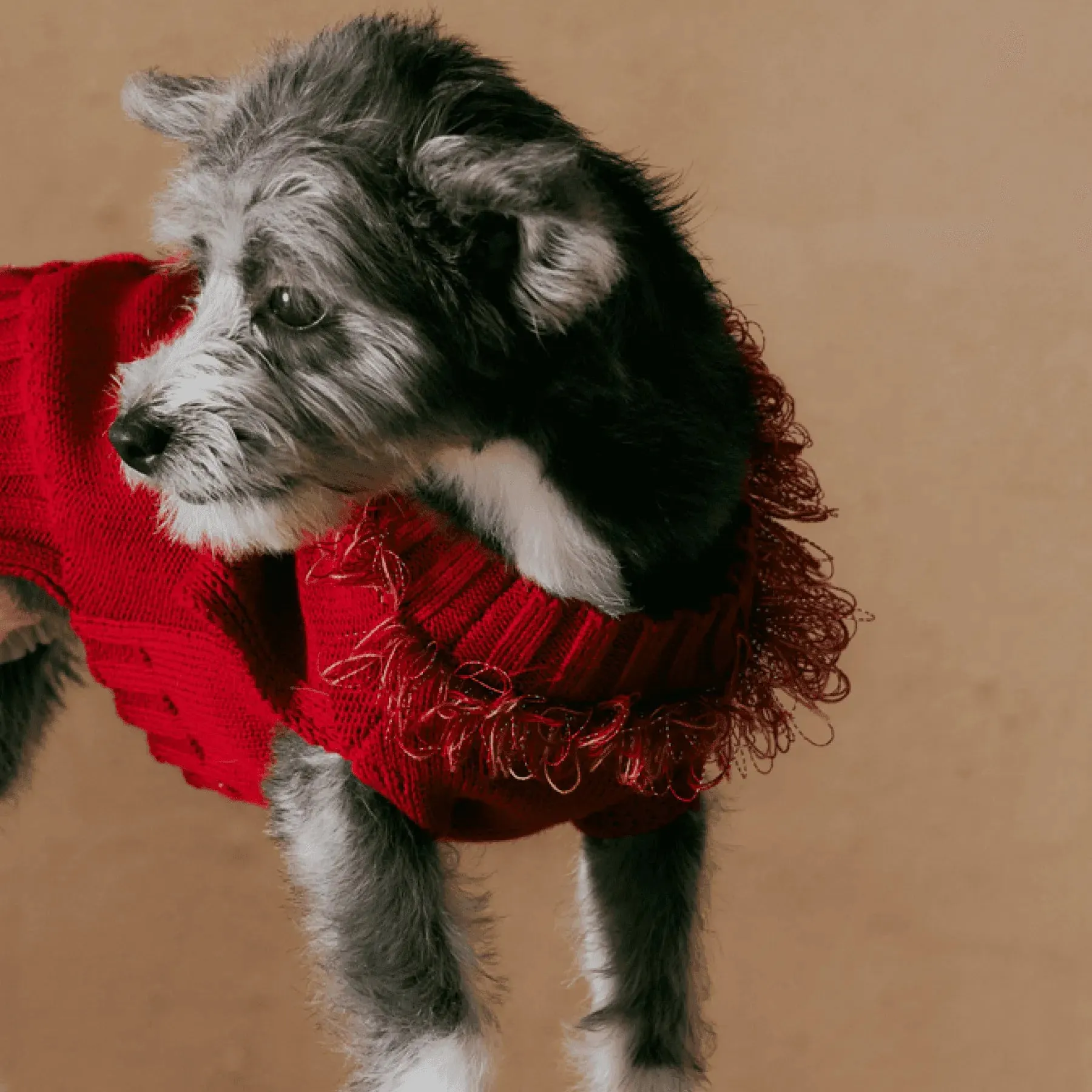 Reflective Dog Sweater