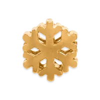Snowflake Charm