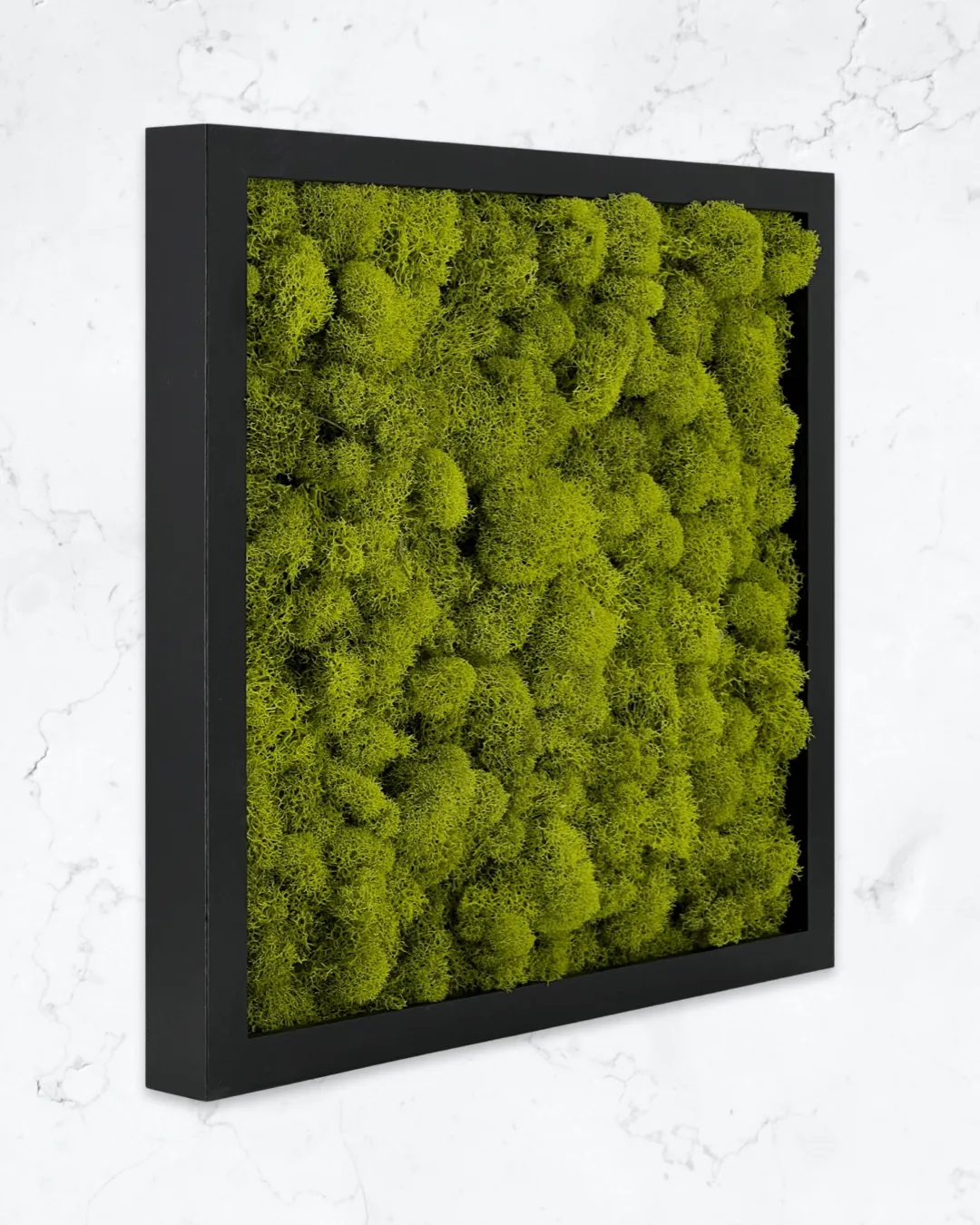 Square Moss Wall Art