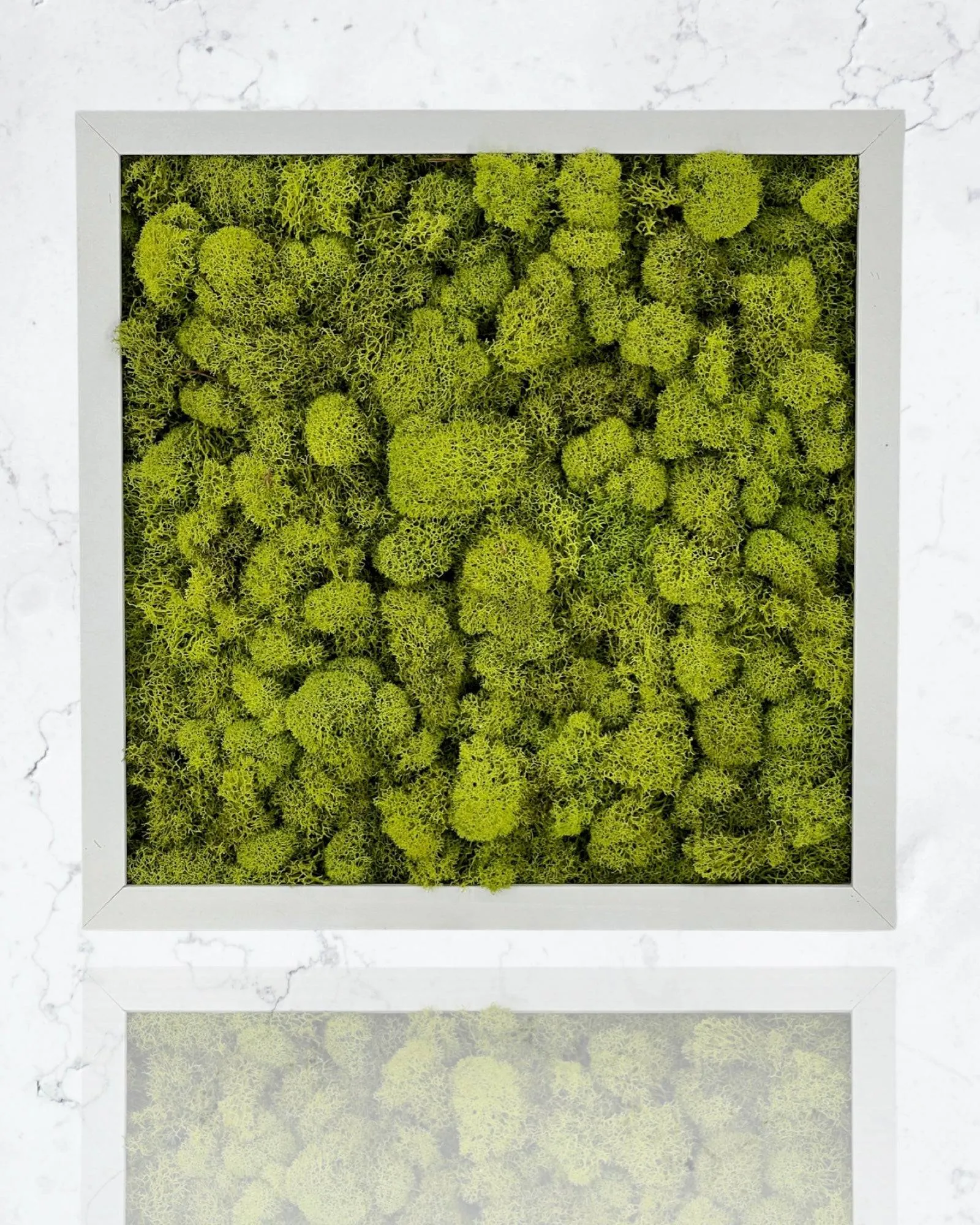 Square Moss Wall Art