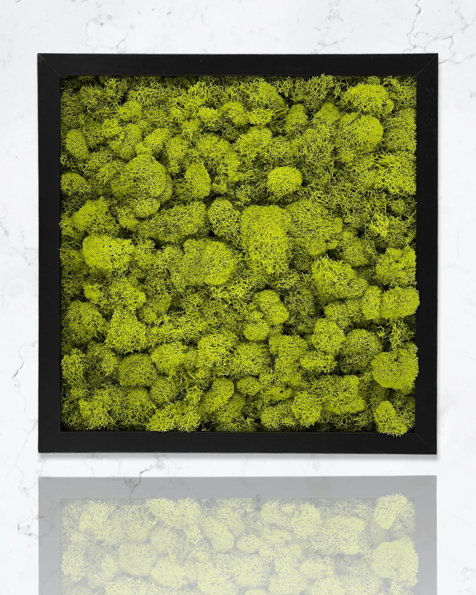 Square Moss Wall Art