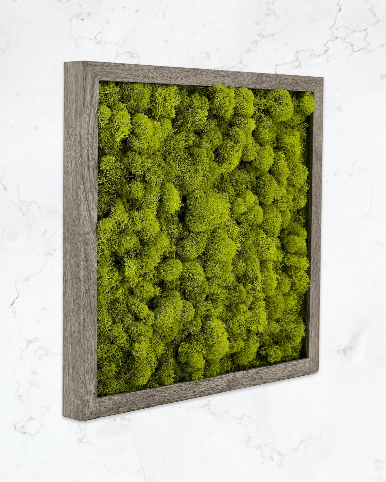 Square Moss Wall Art