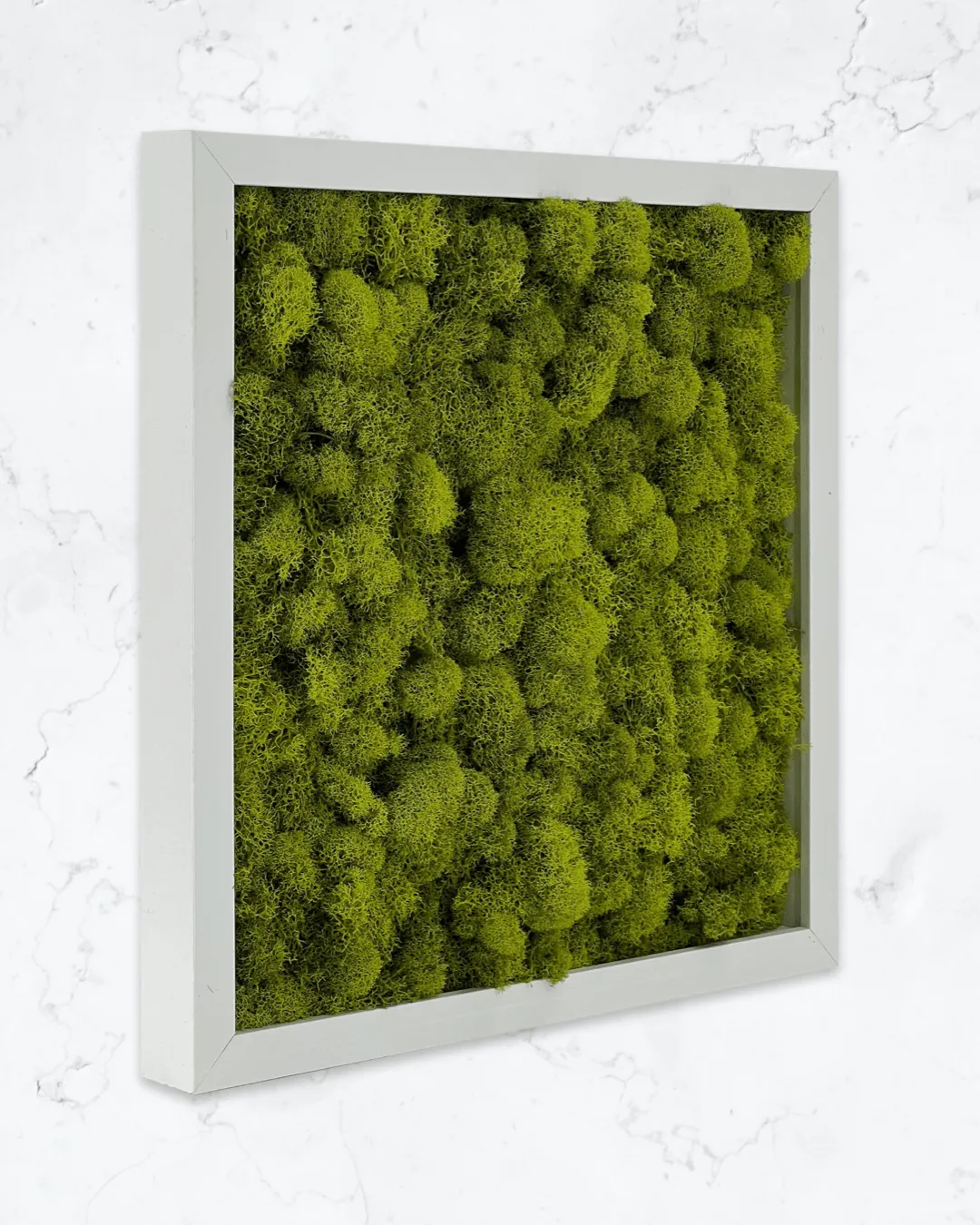 Square Moss Wall Art
