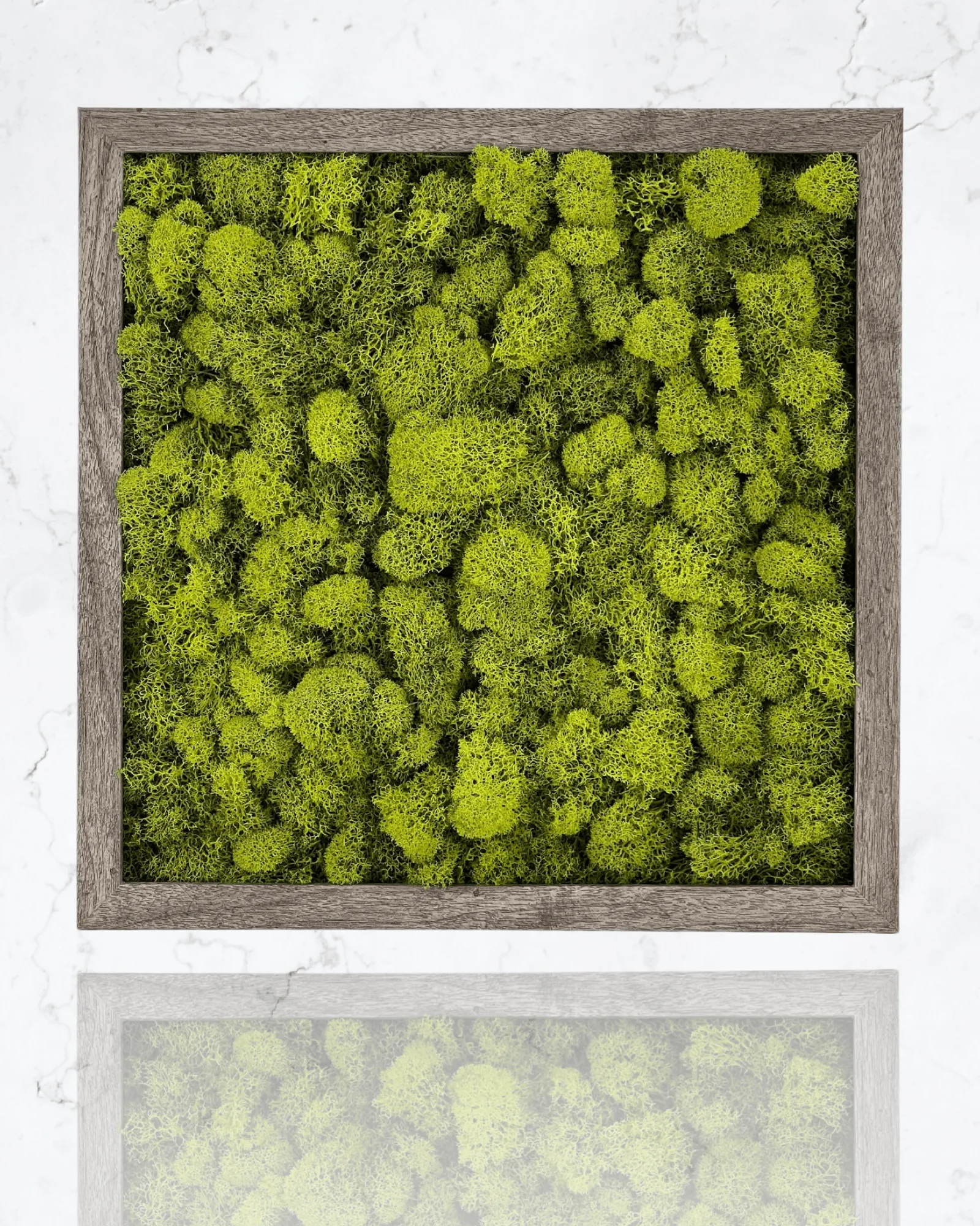 Square Moss Wall Art