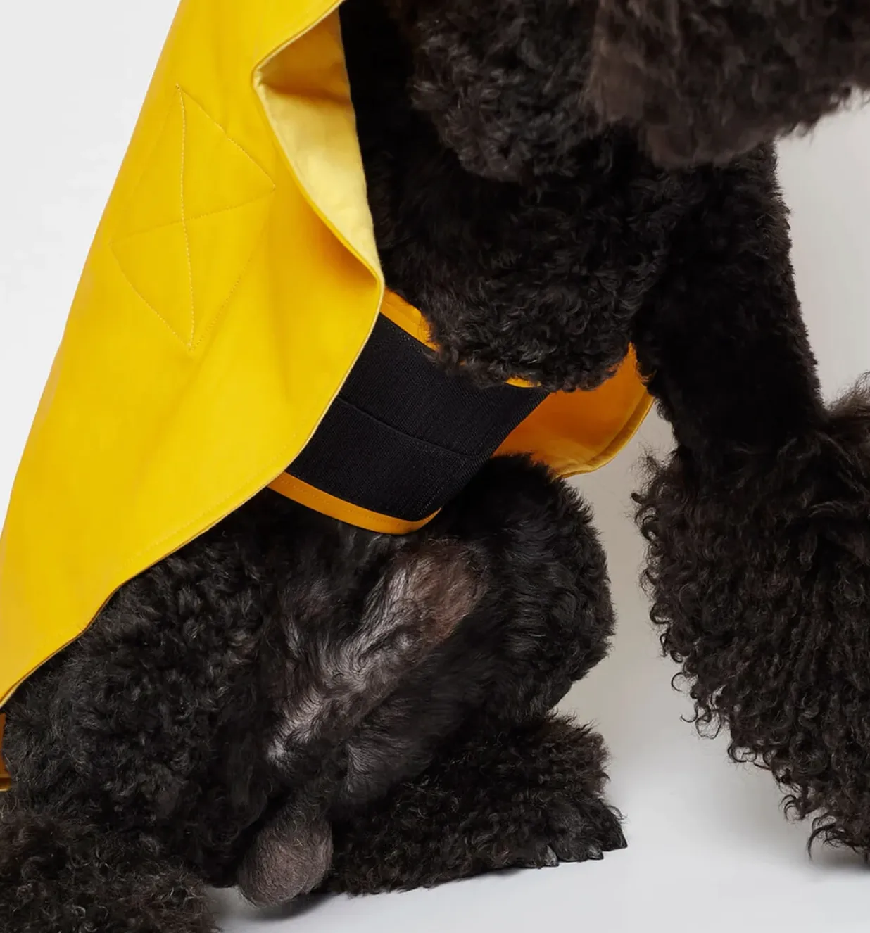 William Cape Raincoat Yellow
