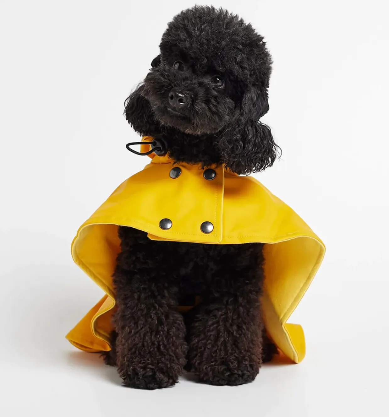William Cape Raincoat Yellow