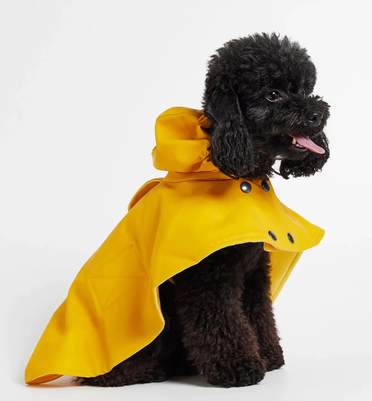 William Cape Raincoat Yellow
