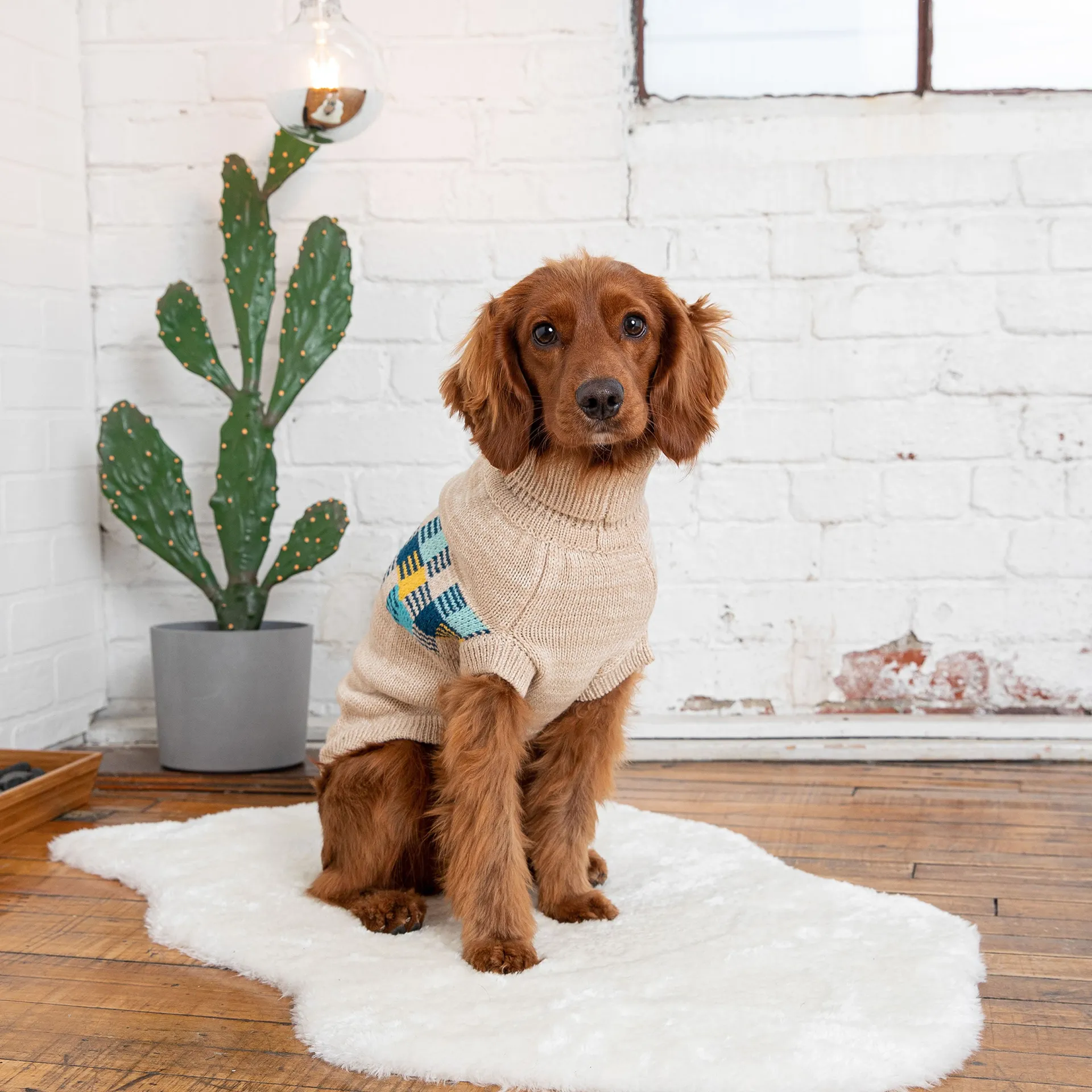 Winter Sailor Sweater (Oatmeal Mix)